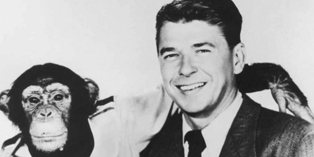 Monkey Reegan Medicare Celebrates Its 50th Birthday, Despite Ronald Reagan - The ...