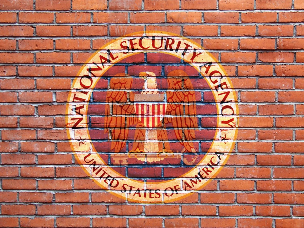 Stymied by NSA, Members of Congress Ask Basic Question