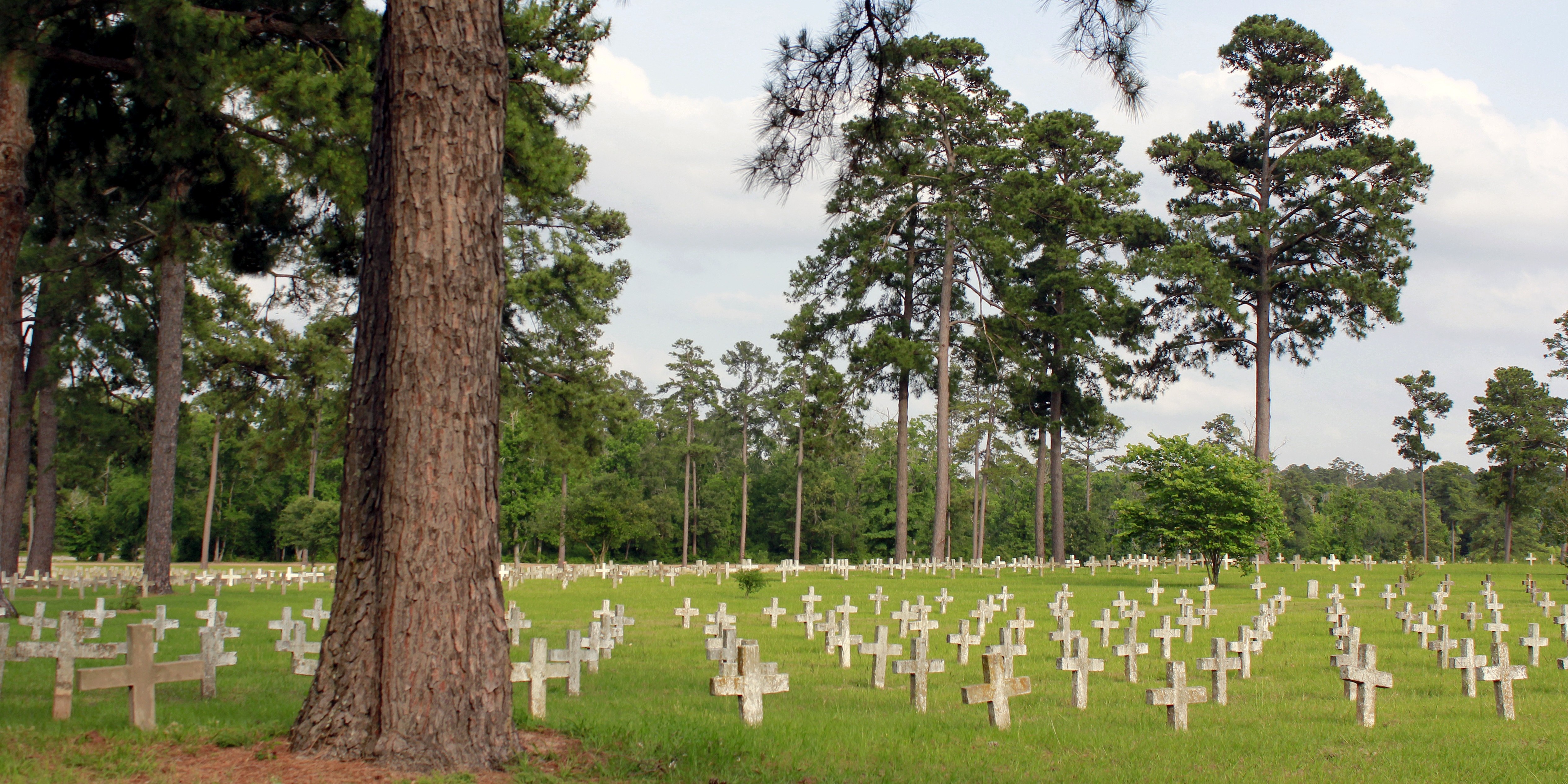 Harris County and the Demise of the Death Penalty