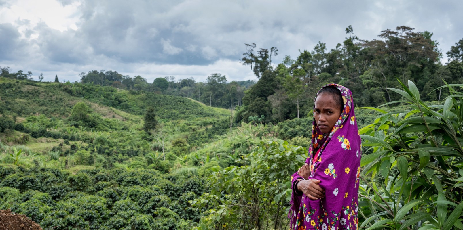 Defending Environmental Rights Has Become an Increasingly Deadly Endeavor