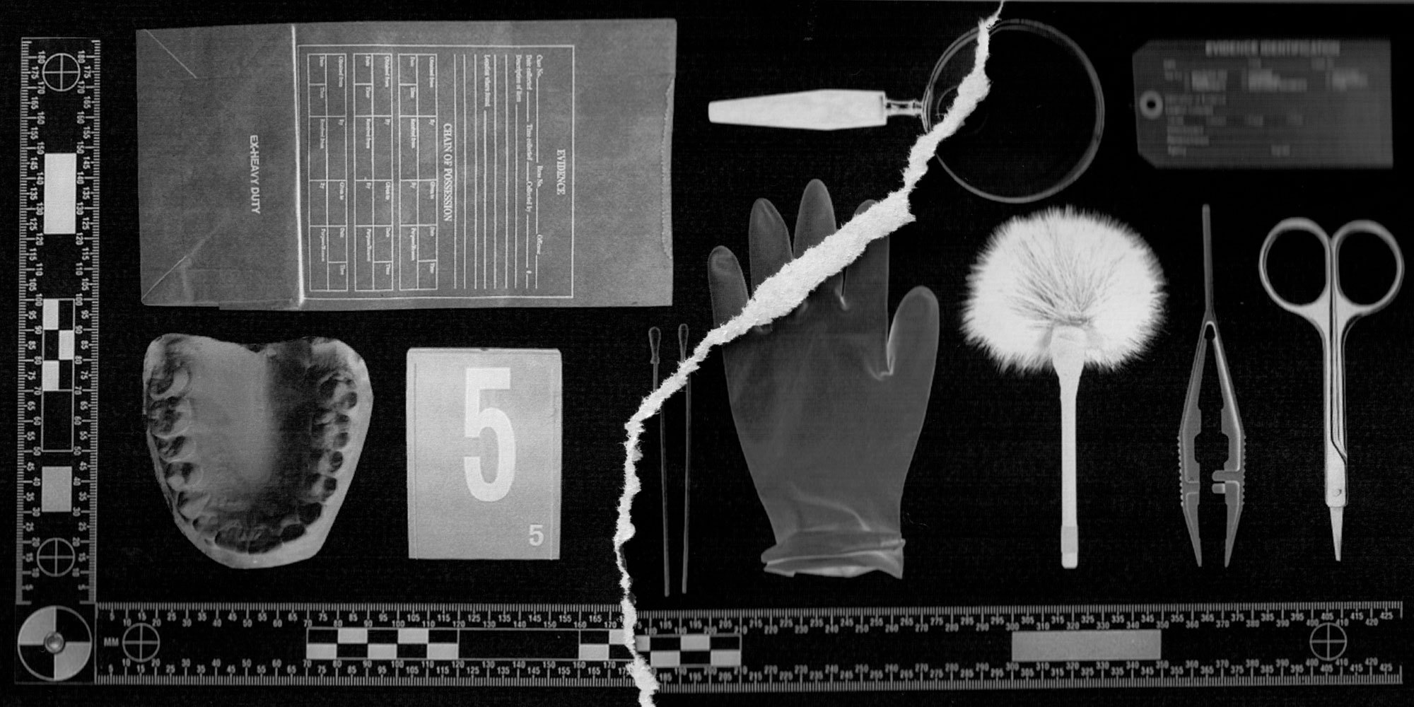 Forensic Experts Fight Over the Problem of Junk Science