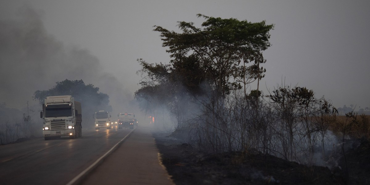 A Top Financier of Trump and McConnell Is a Driving Force Behind Amazon Deforestation - The Intercept