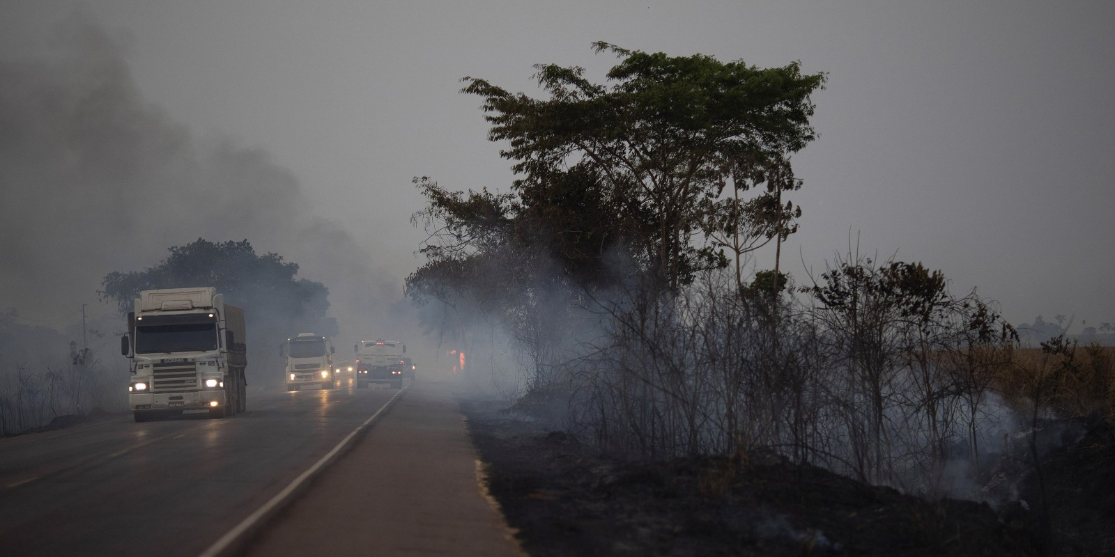 A Top Financier of Trump and McConnell Is a Driving Force Behind Amazon Deforestation - The Intercept