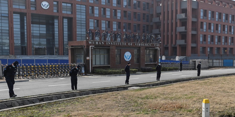 Details Emerge About Coronavirus Research at Chinese Lab