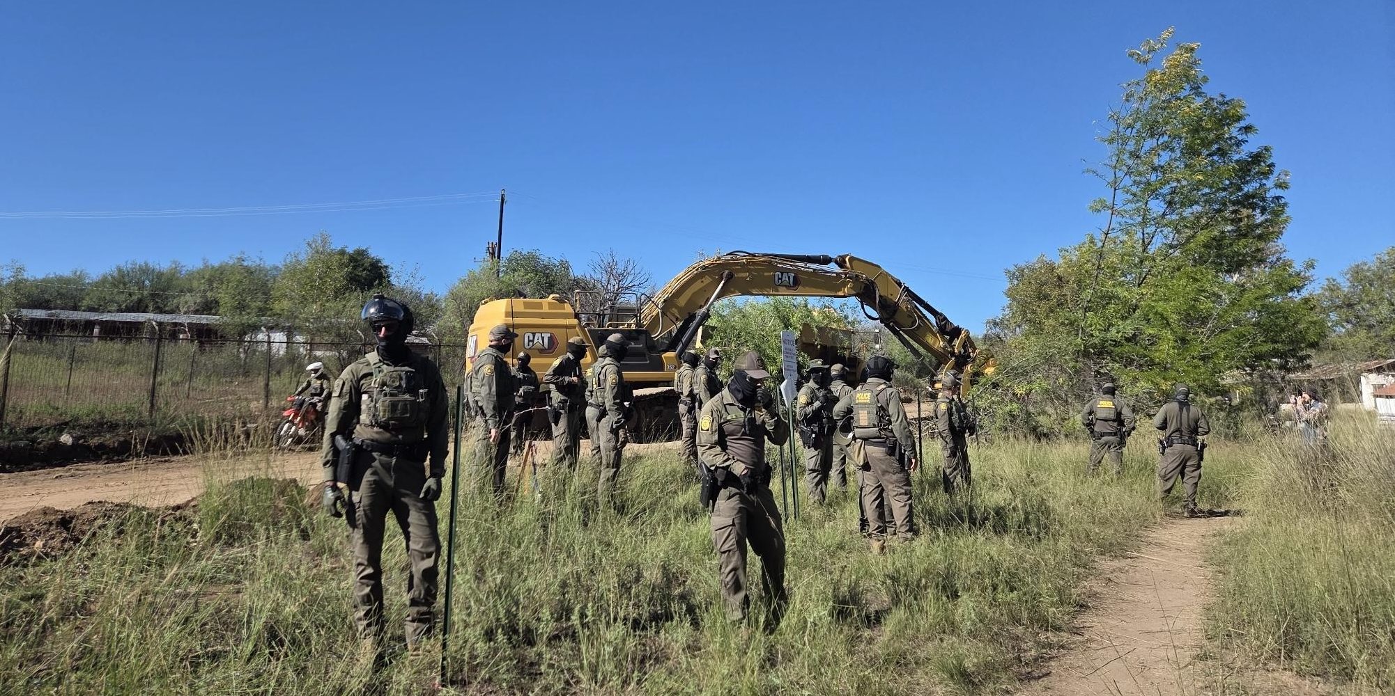 Tree-Sit Protest Erupts After Border Agents Bulldoze 200-Year-Old Cottonwood